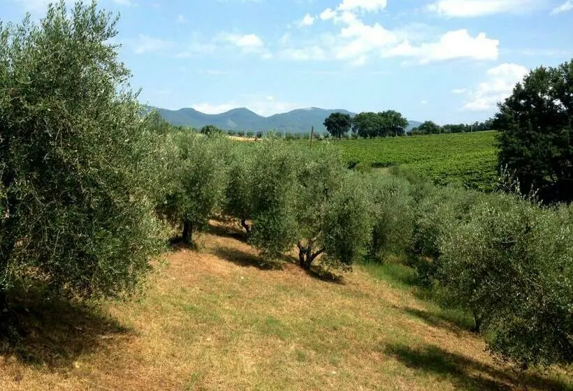 پانسیون Podere Barbi
