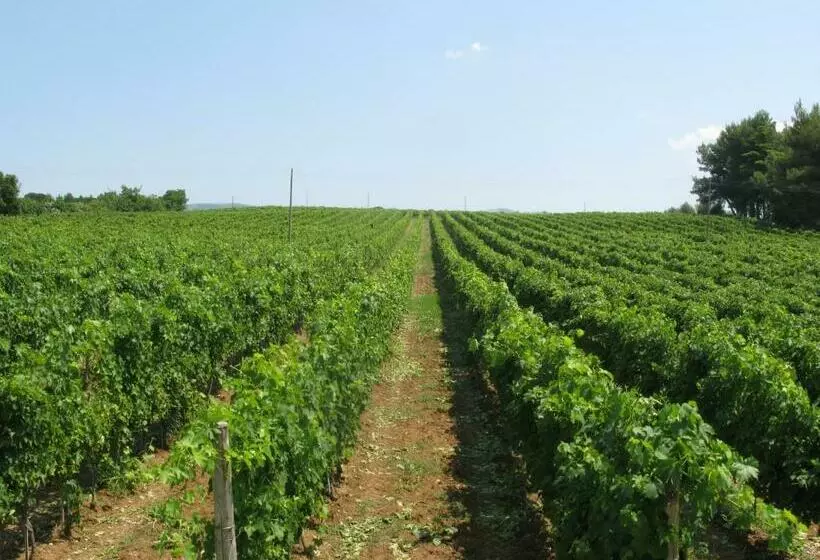 پانسیون Podere Barbi
