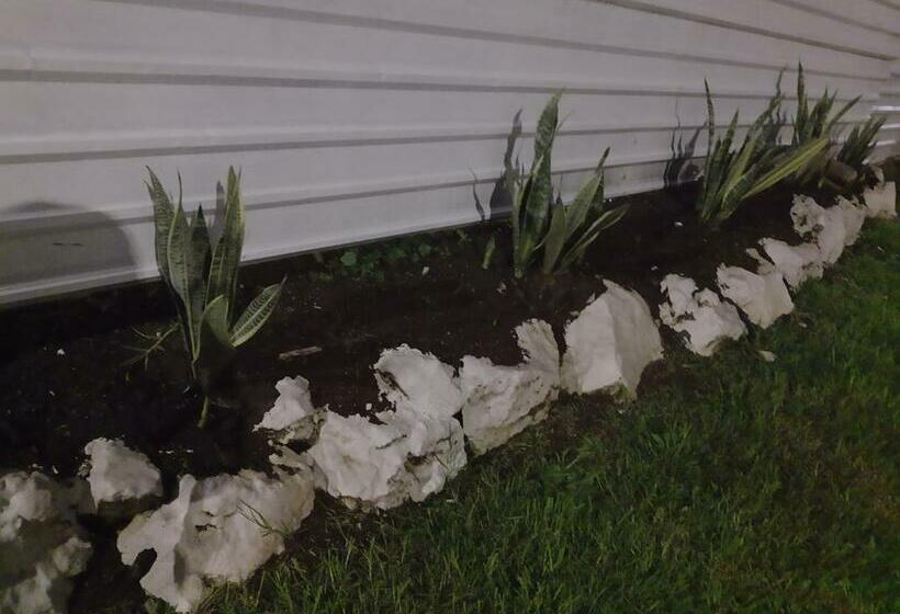 هاستل Cabaña Miroji