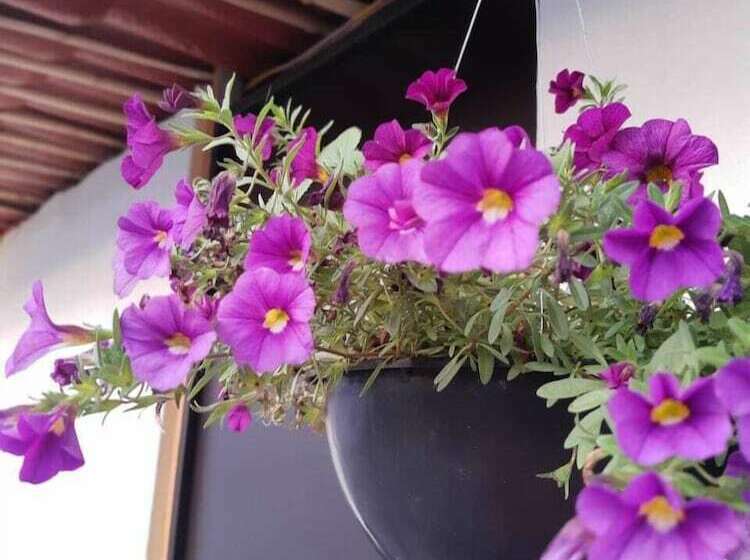 هاستل Cabaña Miroji