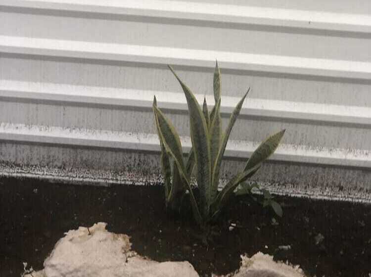 هاستل Cabaña Miroji