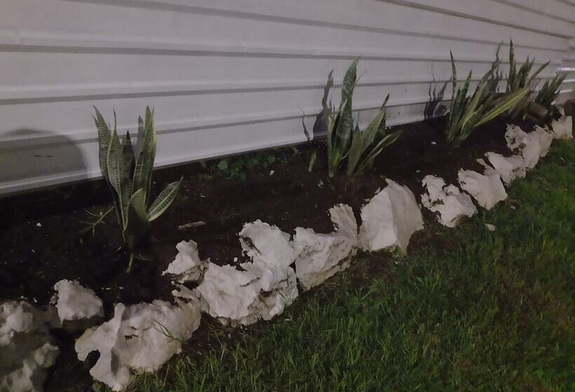 هاستل Cabaña Miroji