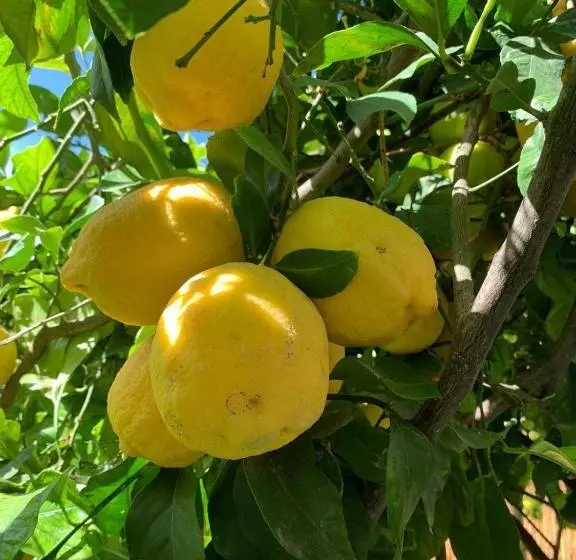 ベッドアンドブレックファースト Bnb Le Janas