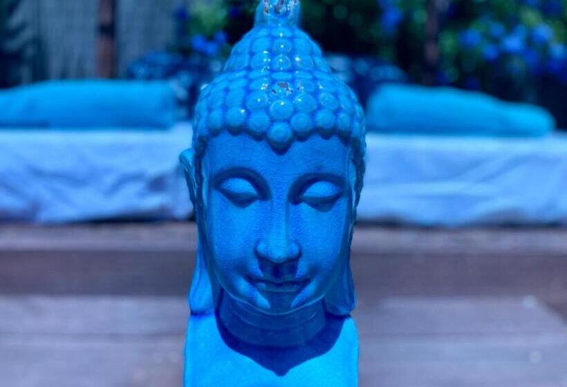 Bed and Breakfast Finca Del Gecko