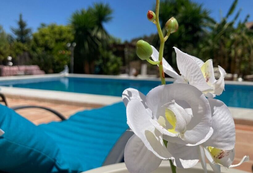 Bed and Breakfast Finca Del Gecko