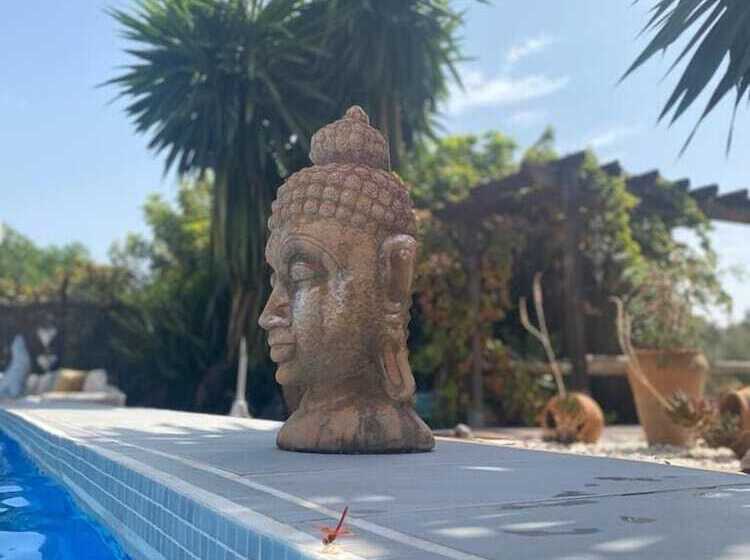 Bed and Breakfast Finca Del Gecko