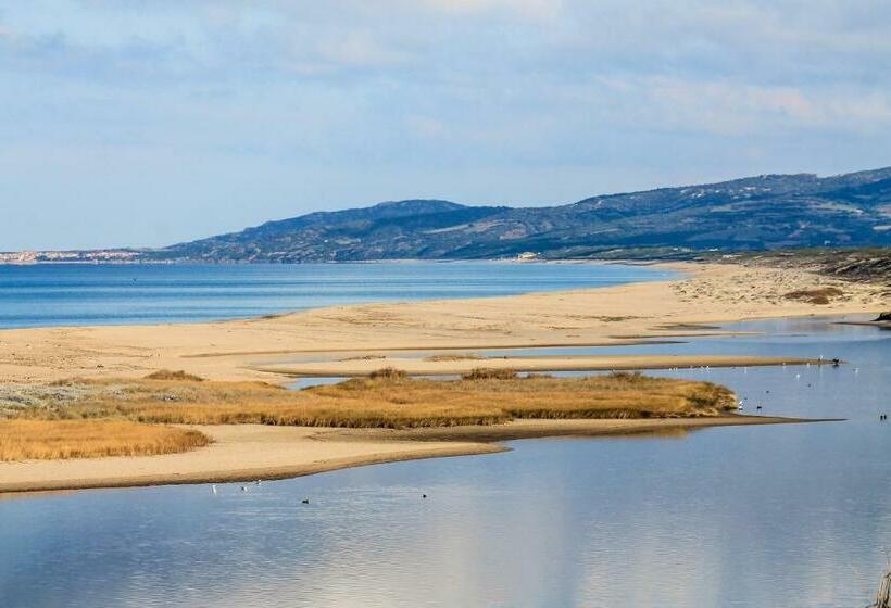 Bed and Breakfast Il Giardino Degli Ulivi