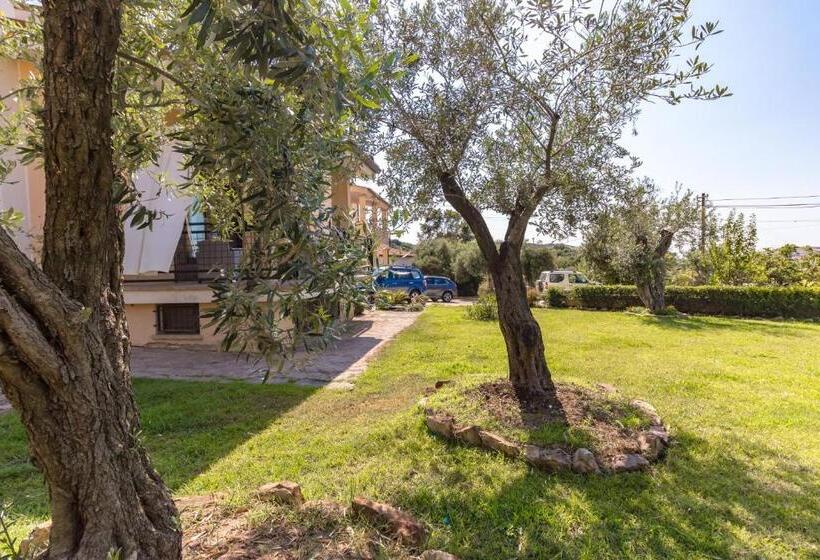 Bed and Breakfast Il Giardino Degli Ulivi