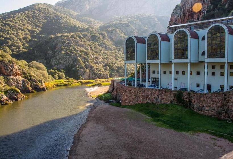 Bed and Breakfast Il Giardino Degli Ulivi