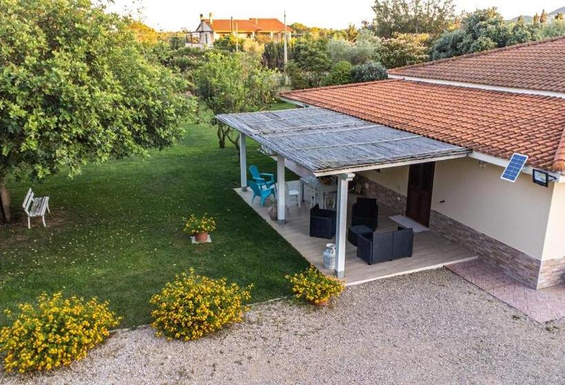 Bed and Breakfast The Vineyards