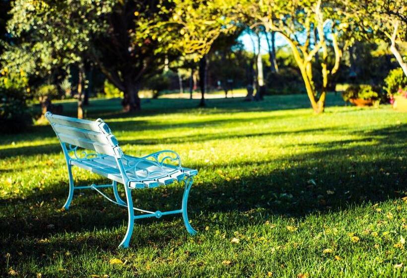 Bed and Breakfast The Vineyards