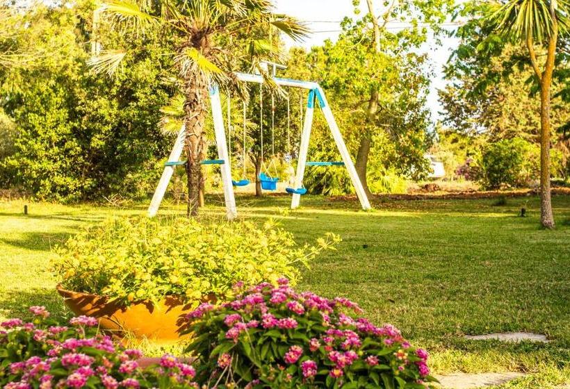 Bed and Breakfast The Vineyards