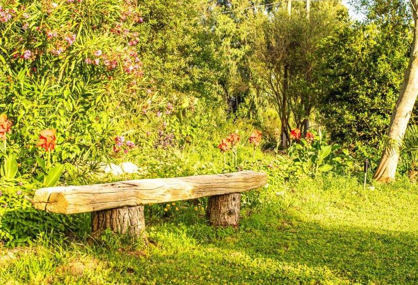 Bed and Breakfast The Vineyards