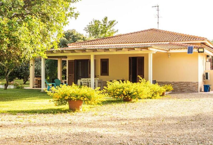 Bed and Breakfast The Vineyards