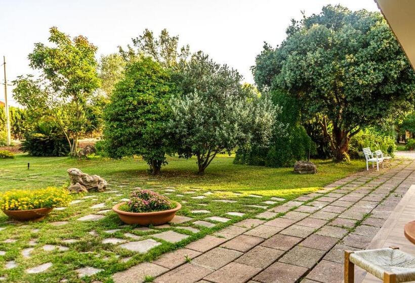 Bed and Breakfast The Vineyards