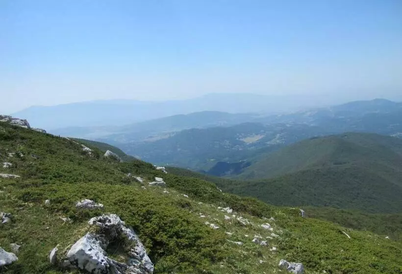 Circolo Floridi