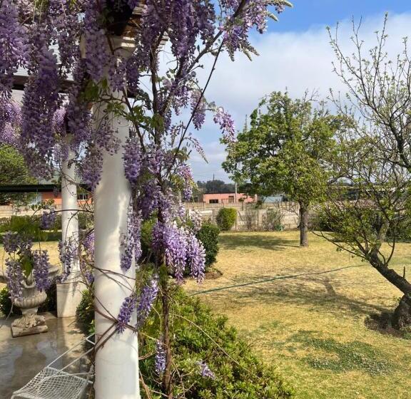 مبيت وإفطار Apple And Rose