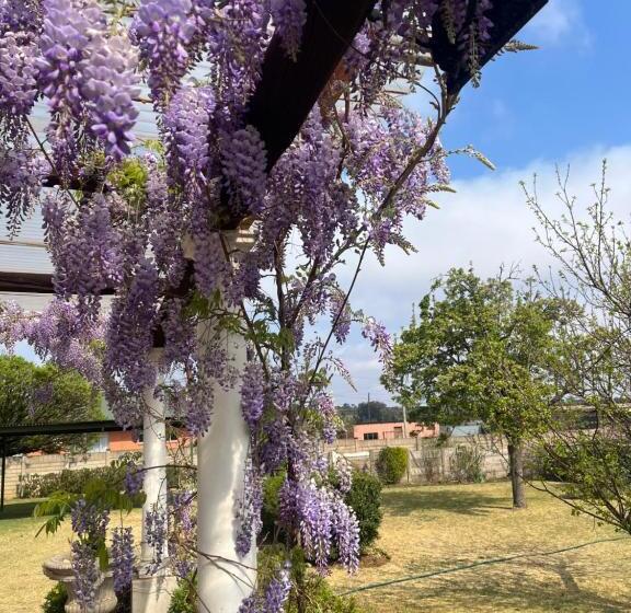 مبيت وإفطار Apple And Rose