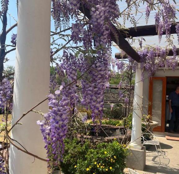 مبيت وإفطار Apple And Rose