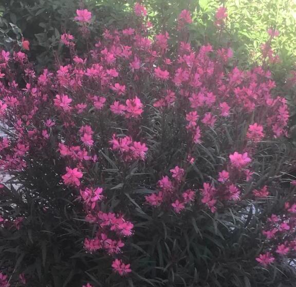 민박 Chambre D Hôtes Dans Villa Diane