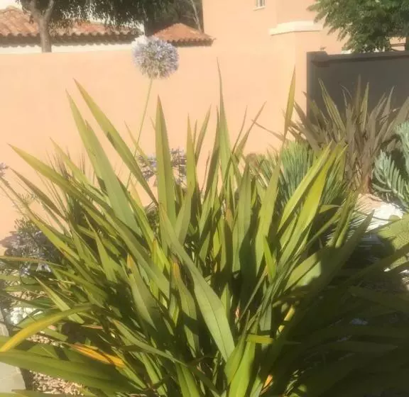 ベッドアンドブレックファースト Chambre D Hôtes Dans Villa Diane