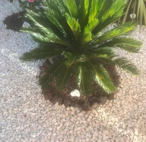 ベッドアンドブレックファースト Chambre D Hôtes Dans Villa Diane