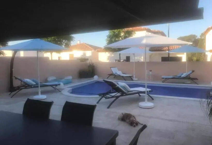 ベッドアンドブレックファースト Chambre D Hôtes Dans Villa Diane