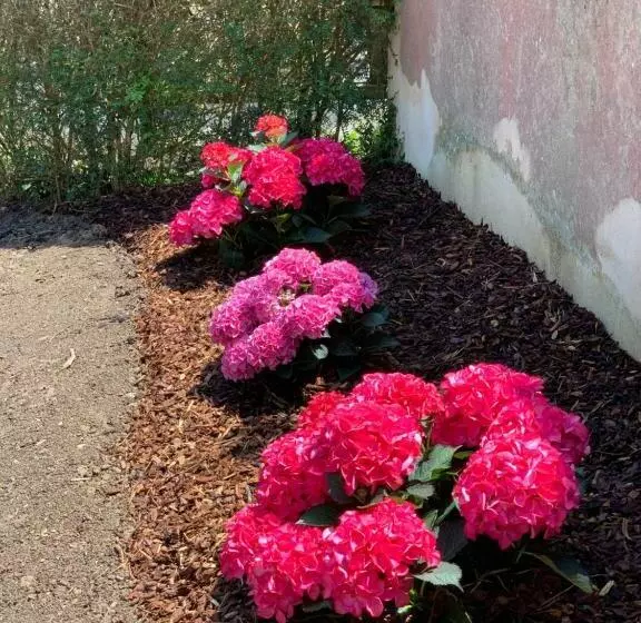 La Maison Des Légendes