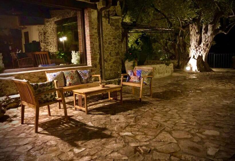 Отель Agriturismo Roba Degli Ulivi