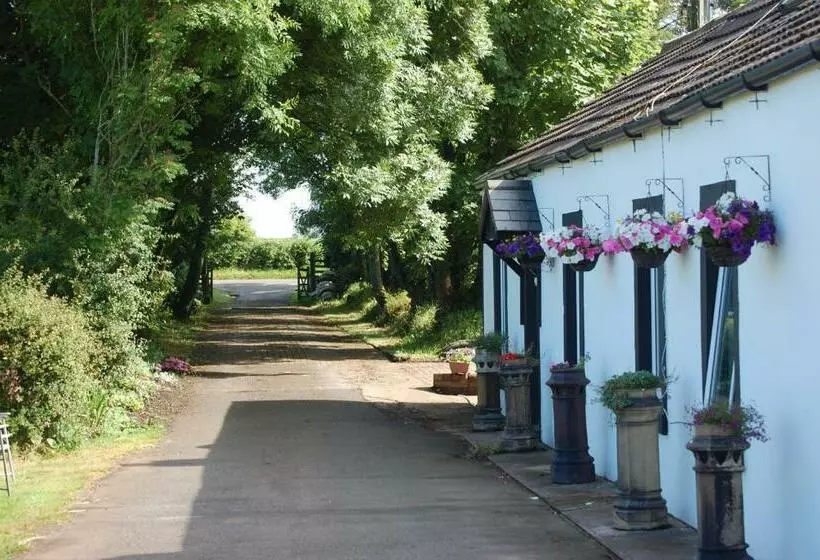 Moorclose Bed And Breakfast
