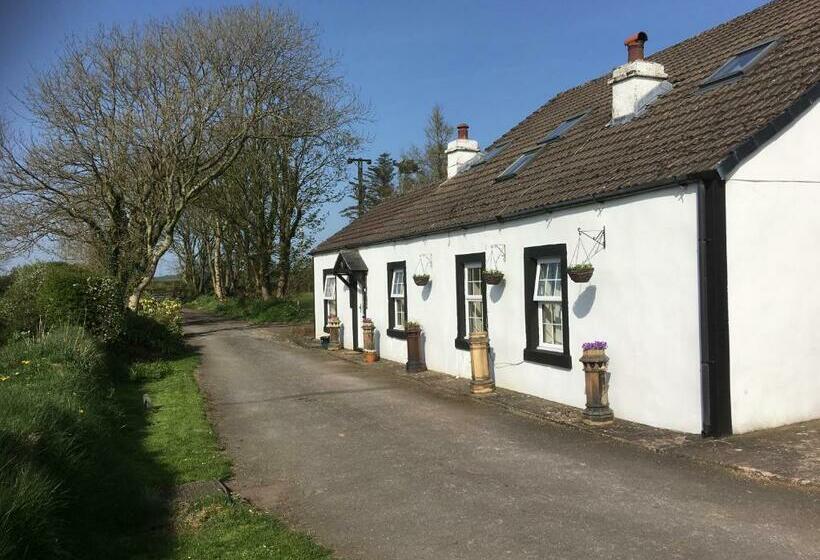 Moorclose Bed And Breakfast