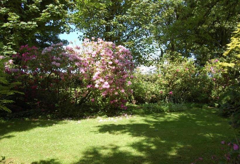 Moorclose Bed And Breakfast