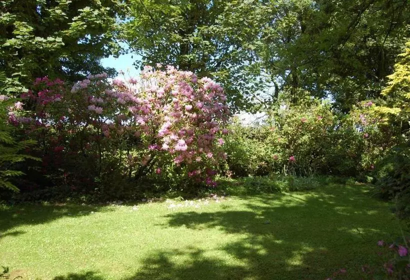 Moorclose Bed And Breakfast