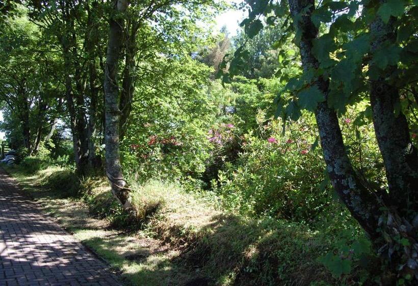 Moorclose Bed And Breakfast