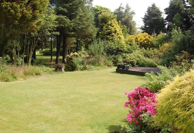 Moorclose Bed And Breakfast