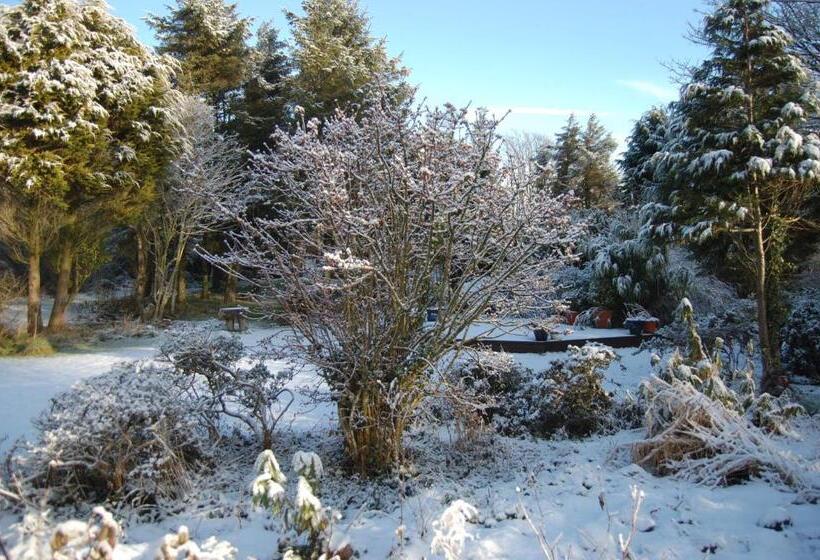 Moorclose Bed And Breakfast