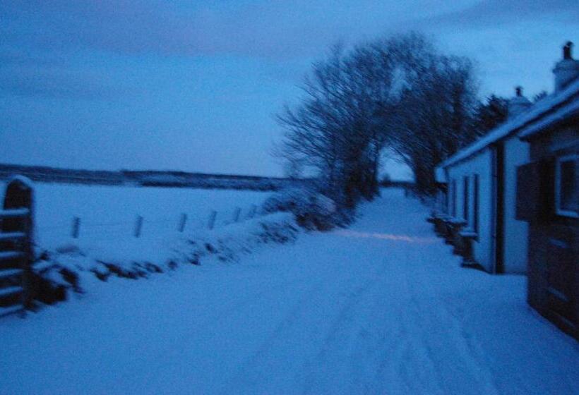 Moorclose Bed And Breakfast