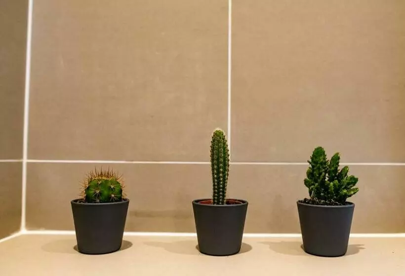 Nitehouse Serviced Apartments