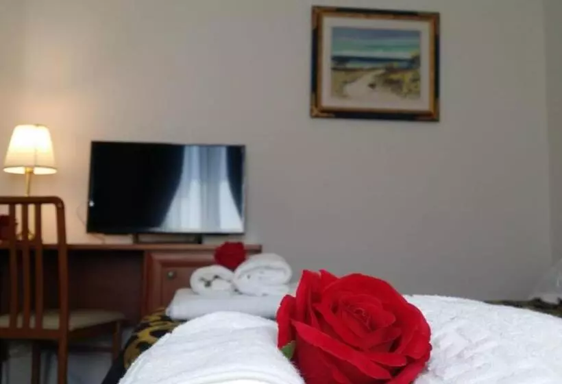 پانسیون Carpe Diem Ancona