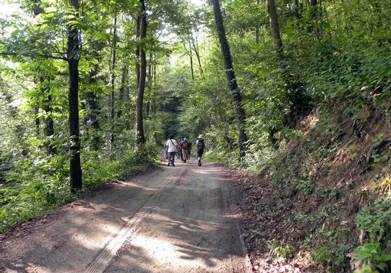 ペンション Emeroteca Del  900