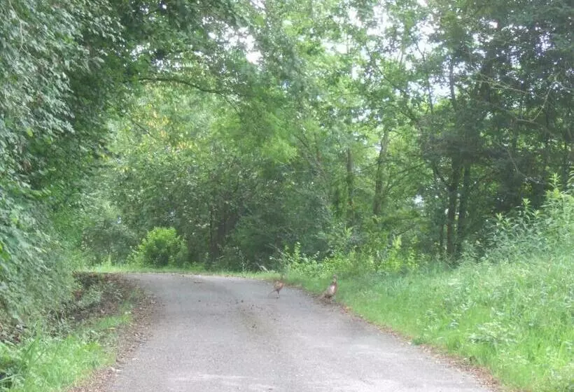 ペンション Emeroteca Del  900