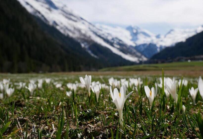 ペンション Haus Tanneck