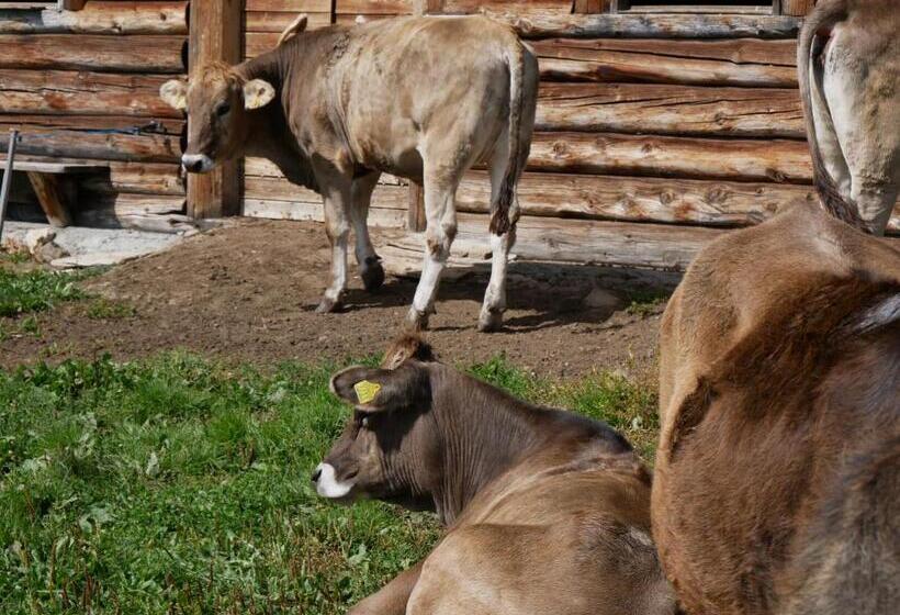 ペンション Haus Tanneck