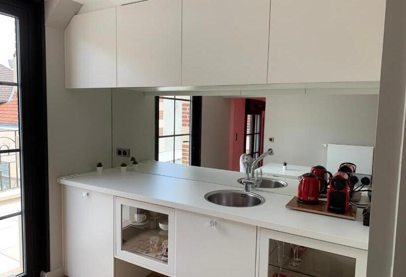 Пансион L Appartement Et Les Suites De Vjl..