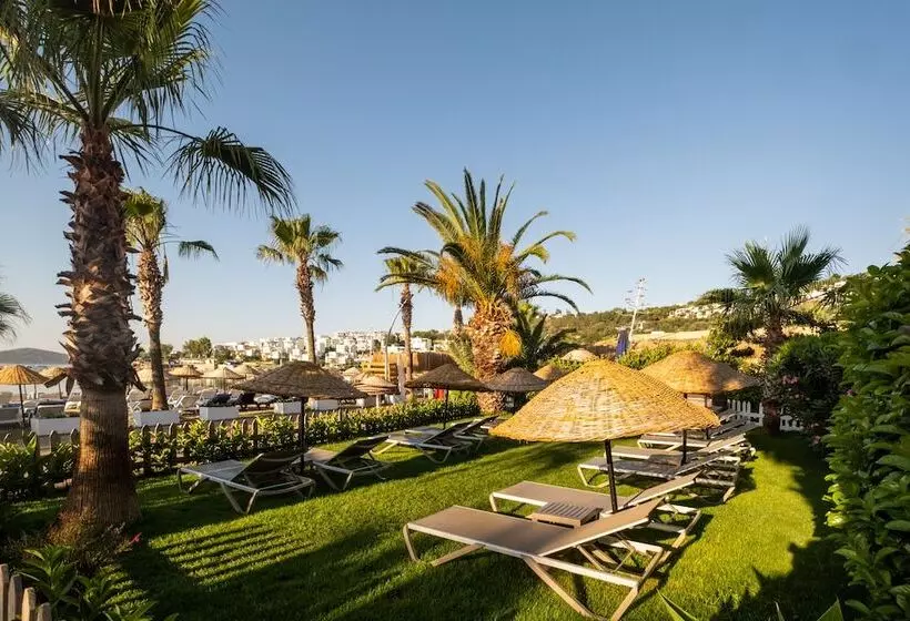 Costa Bitezhan Hotel All Inclusive