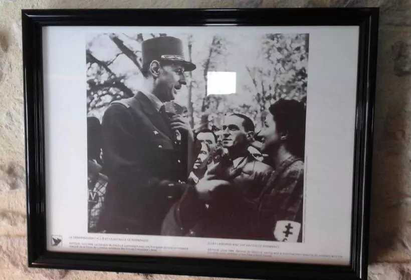 تختخواب و صبحانه Camélia