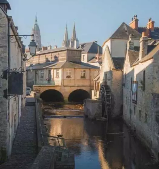 تختخواب و صبحانه Camélia