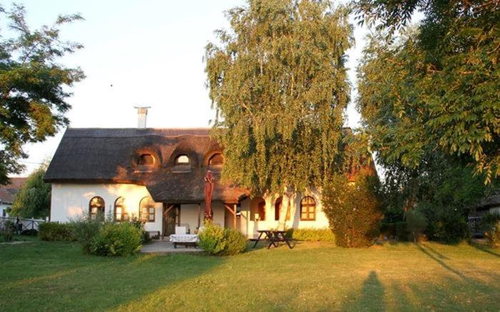 Bed and Breakfast Herberg Tisza