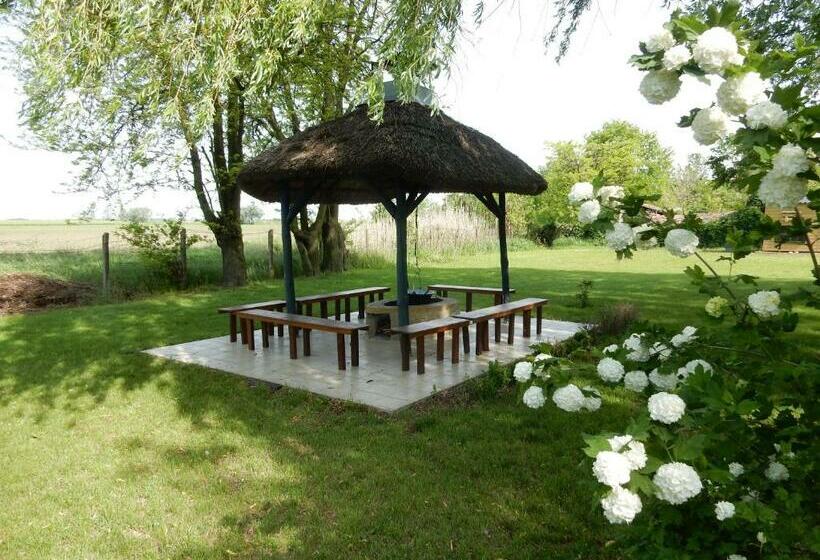 Bed and Breakfast Herberg Tisza