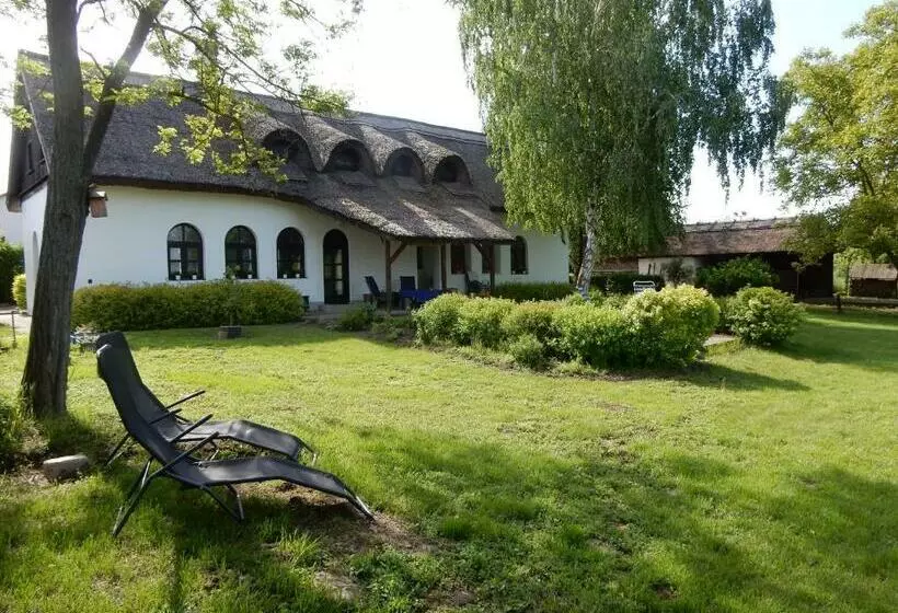 Bed and Breakfast Herberg Tisza